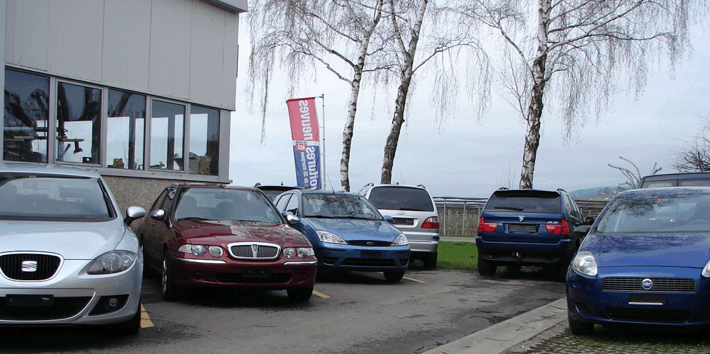 garage voiture occasion aubonne